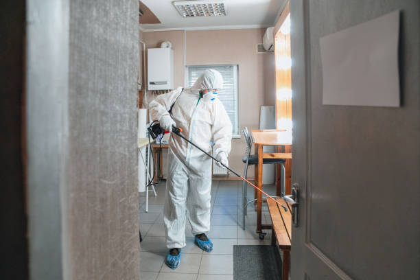 Best Biohazard Mold Removal  in Holly Hill, FL