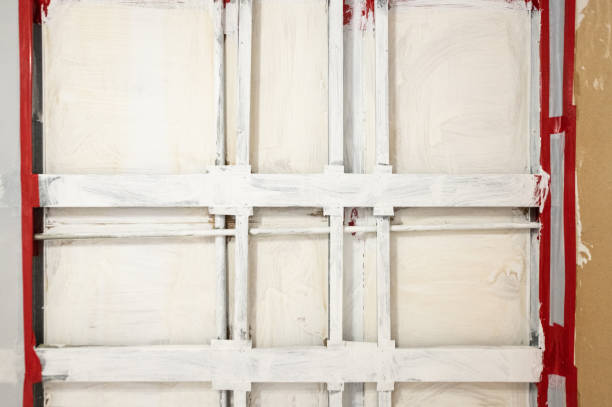 Best Mold Remediation for Healthcare Facilities  in Holly Hill, FL